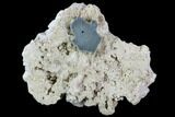 Aquamarine Crystal in Albite Crystal Matrix - Pakistan #111359-1